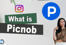 Picnob