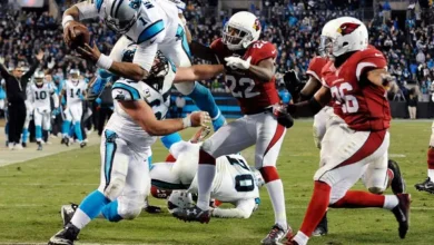 carolina panthers vs arizona cardinals match player stats